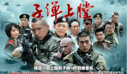 电视剧军旅剧,烽火岁月里的青春传奇