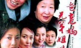 兄弟姐妹电视剧演员表,演绎家族情感纠葛的璀璨群星